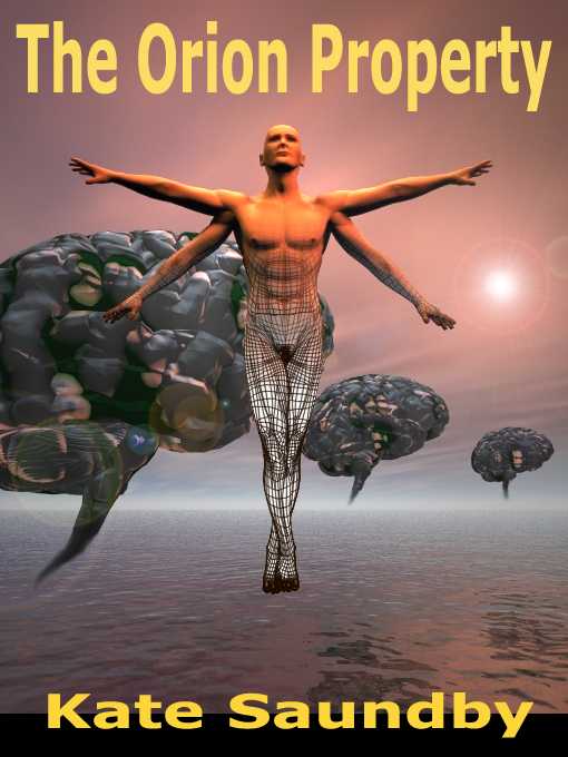 Cover of 'The Orion Property'